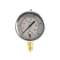 63MM PRESSURE GAUGE 0-25BAR