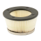 AIR FILTER 42970