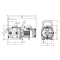 Centrifugal Pump