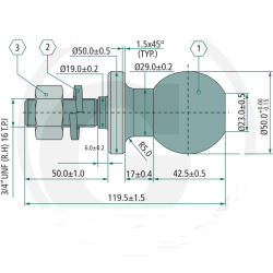 Ball Anh&auml;ngerkupplung Pin Short 50mm 19 x 50mm 350kg