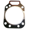 Head Gasket Fendt 300 500