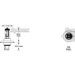 Bulb 12V 60 / 55W P43t