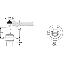 Bulb H7 12V 55W Px26d