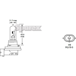 Bulb 12V 65W PGJ19-5