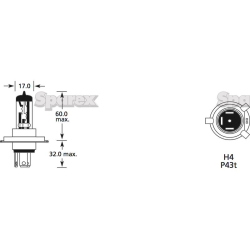 Bulb 12V 60 / 55W P43T PAK