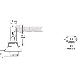 Bulb 12V 64W PGJ19-5 H9