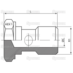 BANJO BOLT 1/4 &quot;BSP