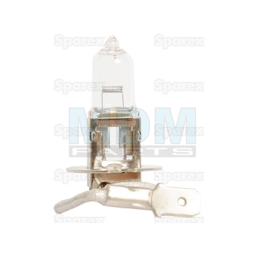 Bulb 12V 100W PK22s