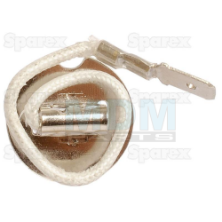 Bulb 12V 100W PK22s