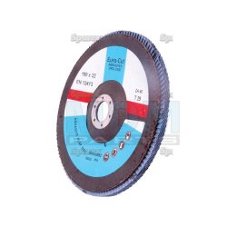 DISC-FLAP-180X22MM P60