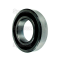 BEARING - ROLLER - 17X40X12