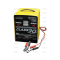 Battery charger 12 / 24V 20-300Ah