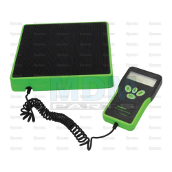 Electric charging scales