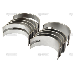 Bearing shell (81558) -10