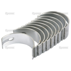 Bearing shell (81558) -20