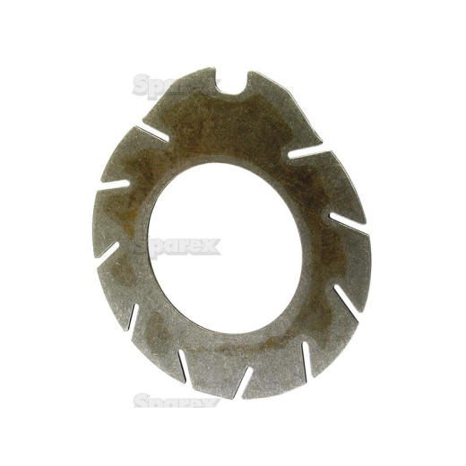 Brake disc (1860965M1)