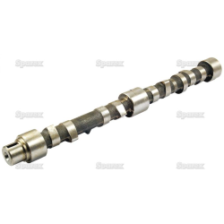 Camshaft (736818m1)