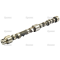 Camshaft (736818m1)