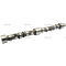 Camshaft (3637537m1)