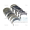 Crankshaft bearing set (3638765M91)