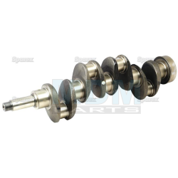 Crankshaft (3110995R91)