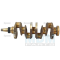 Crankshaft (4785110)