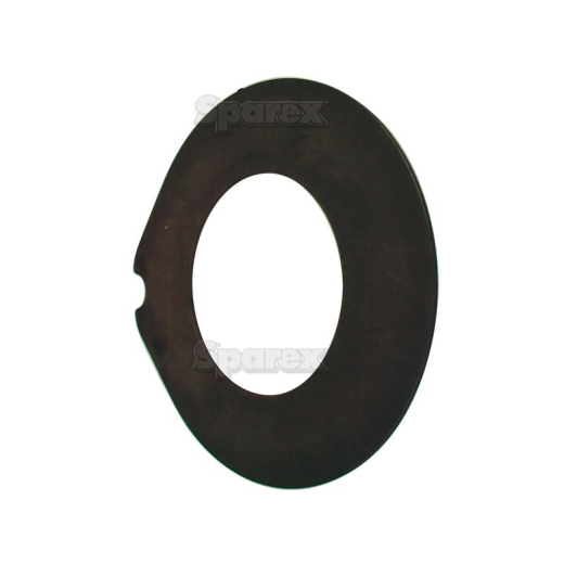 Brake disc (81801947)