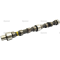 Camshaft 4603154